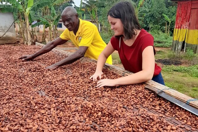 1 Day cocoa farm tour - Private Guide Pacing: A Better Way to Ask Questions