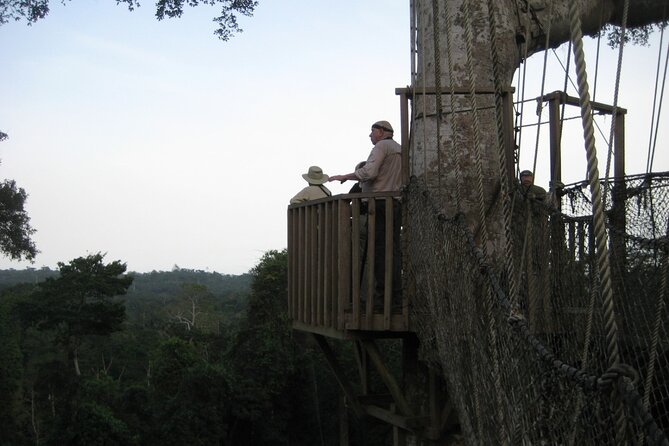 15-Day Ghana Wildlife Private Tour - Days 6 to 8: Brenu Akyinim to remote Ankasa, where the camp life matters