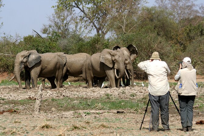 15-Day Ghana Wildlife Private Tour - Day 15 wrap-up: Tamale to Accra flight and a final meal near the airport
