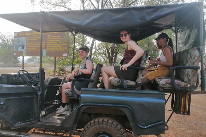 2 Days (1 night) Elephants Safari at Mole Park with Round - trip flights - Day 1 night: staying at the park with air-conditioned comfort