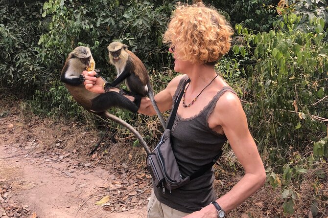 2Days private explore volta region - Tafi Atome Monkey Sanctuary and the kente weaving lesson