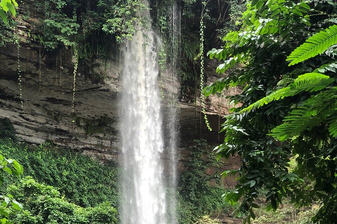 2Days private explore volta region - Wli Waterfalls (Agumatsa): highest in West Africa and full rainforest mood