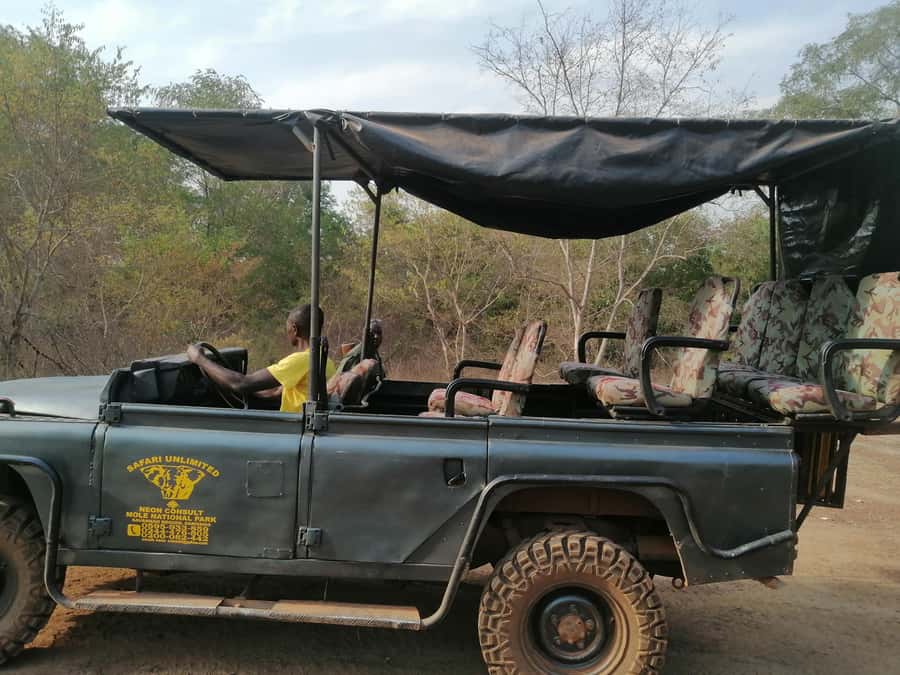 3 Days Elephant Safari at Mole Park with round trip flights - Who this trip suits best, and who should reconsider