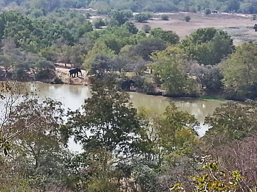 3 Days Elephant Safari at Mole Park with round trip flights - Day 2 village life: learning how the region lives day to day