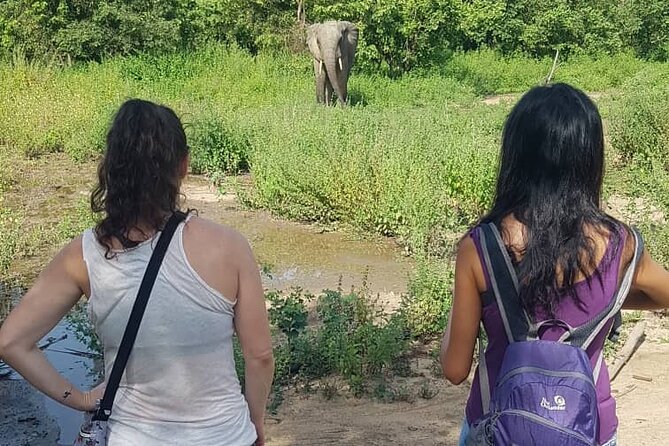 3 Days Elephants Safari at Mole Park with Round - trip flights - Key things that make this Mole safari work