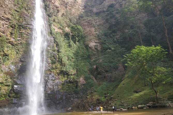 3 Days Private Wanderlust Eco Tour in Volta, Ghana. - Tafi Atome: monkeys in their habitat plus a cooking class
