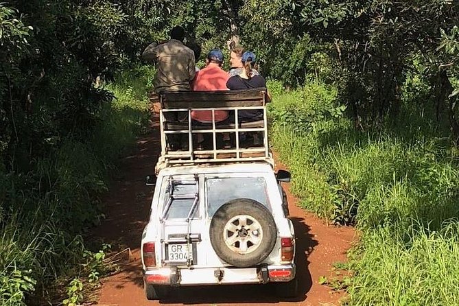3 Days Sunrise Elephant Safari-Mole Park with -Round Trip Flight - Larabanga Mosque stop on day 3, the trans-Sahara route, and a taste of Ghana’s faith history