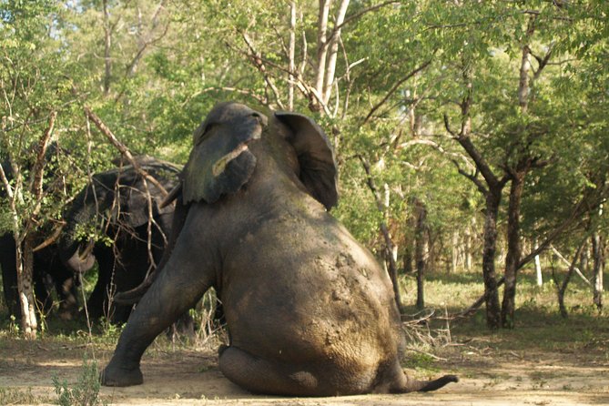 7days/6nights Eco Tourism - Day 4: Bobiri Forest Reserve, Boabeng Fiema Monkeys, and Tano Sacred Grove Caves