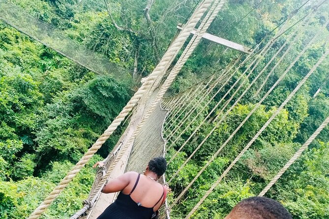 9-Day Private Guided Tour of West Africa (Ghana, Togo & Benin) - Tafi Atome monkeys and Wli Waterfalls: your nature peak day