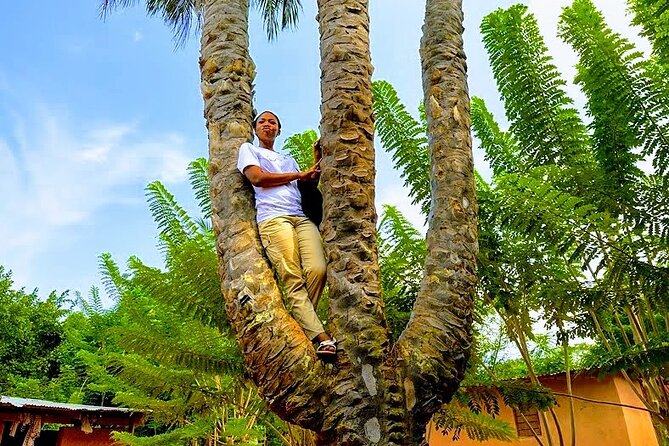 A Tour to Boti Falls - Umbrella Rock: shade, a climb, and the hike you should pace yourself on