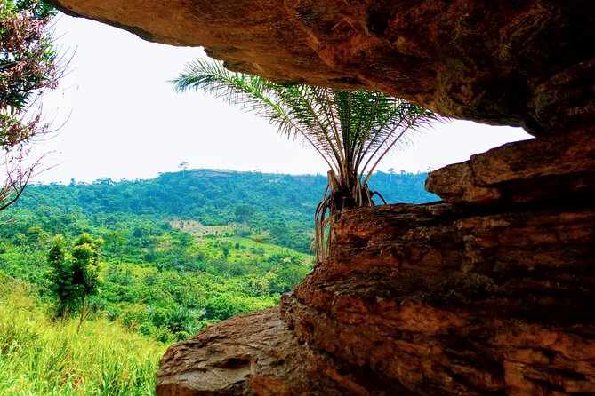 A Tour to Boti Falls - Three-Headed Palm Tree and the fertility rock pause