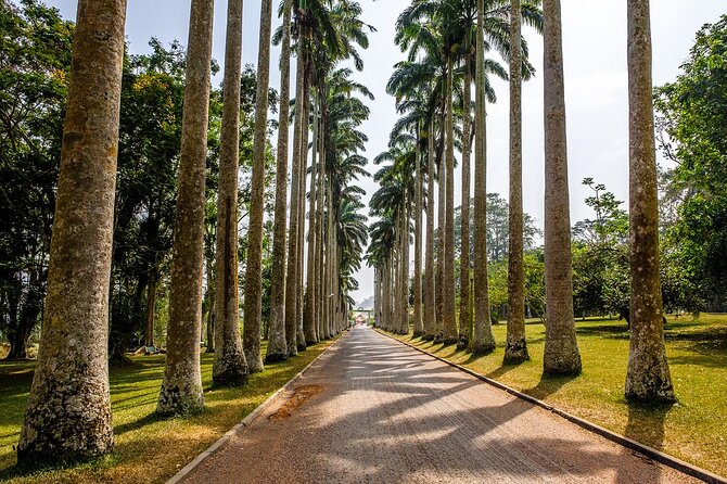 Aburi Botanic Gardens and Boti Falls Full-Day Private Tour - Key Highlights You’ll Feel Fast