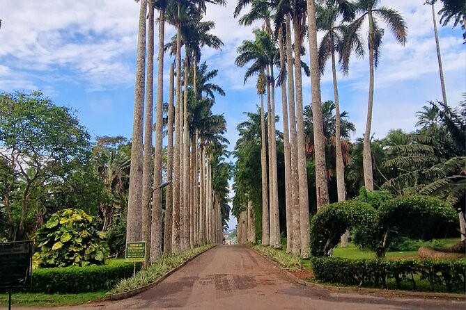 Aburi Botanic Gardens, Boti Falls,Umbrella Rock & Cocoa Farm Tour - Key Points I’d Bank On