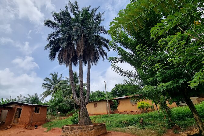 Aburi Botanic Gardens, Boti Falls,Umbrella Rock & Cocoa Farm Tour - A Small-Group Day That Threads Waterfalls, Plants, and Chocolate
