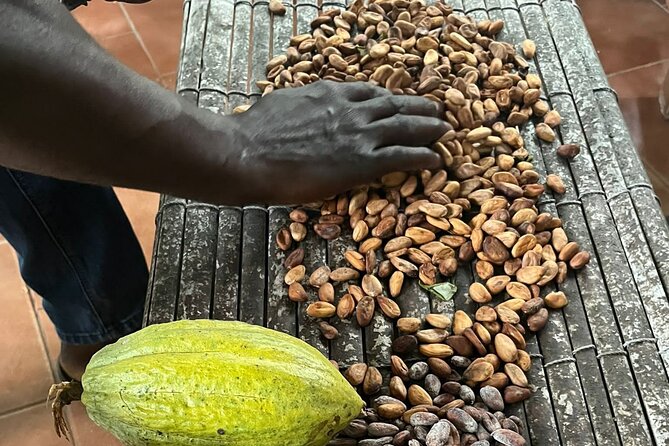 Aburi Botanic Gardens, Boti Falls,Umbrella Rock & Cocoa Farm Tour - Boti Falls: The Twin Waterfalls, 250 Steps, and Time to Relax
