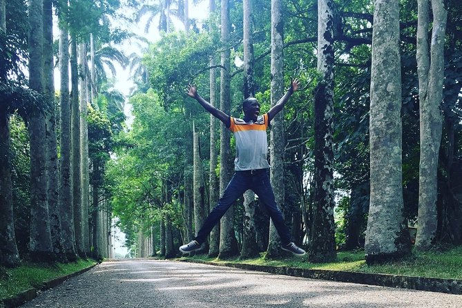 Aburi Gardens and Tetteh Quarshie Farms - Key Highlights Worth Knowing