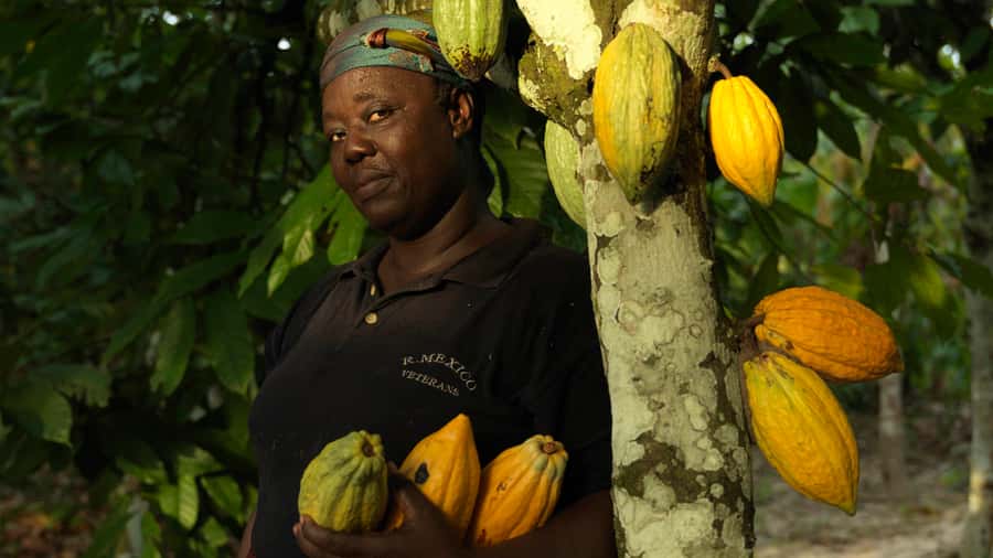 Accra Aburi Eco & Cocoa Experience: Gardens Waterfall &Lunch - Getting From Accra or Tema in an Air-Conditioned 4x4