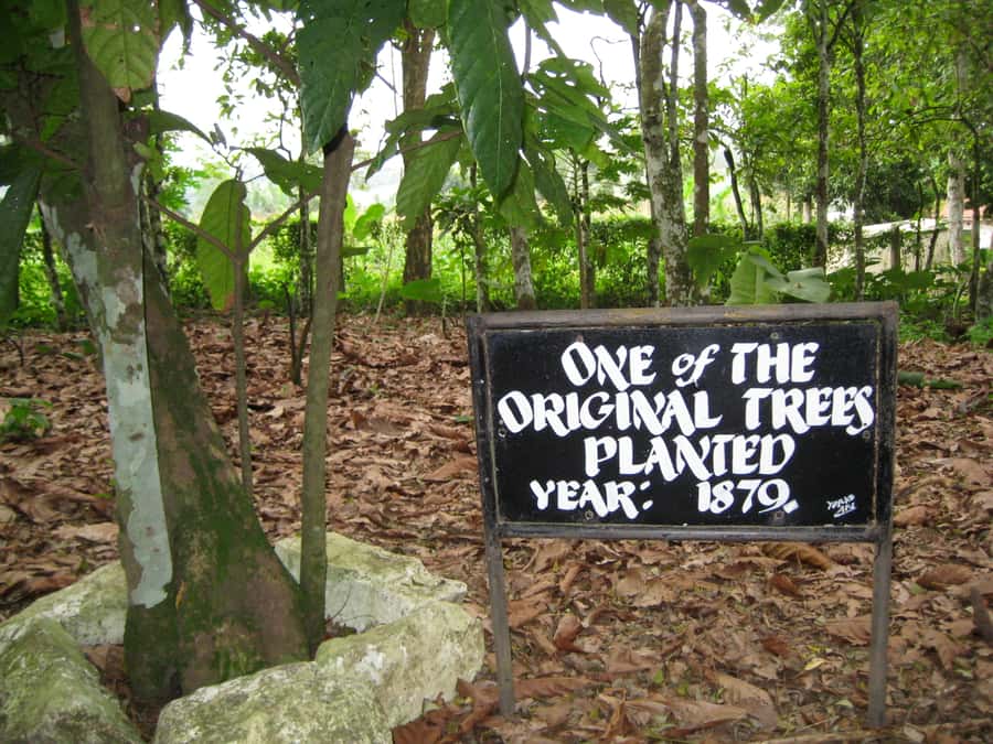 Accra Aburi Eco & Cocoa Experience: Gardens Waterfall &Lunch - Lunch Break and Timing for the Full 7 Hours