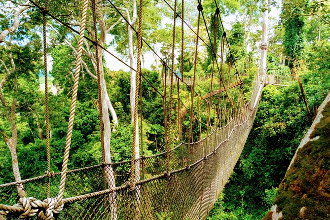 Accra and Cape Coast Escape - Getting to Kakum: plan for the long ride and the timing