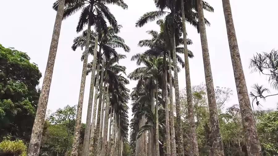 Accra: Eastern Region Waterfalls Tour - Key Highlights That Matter on This Tour