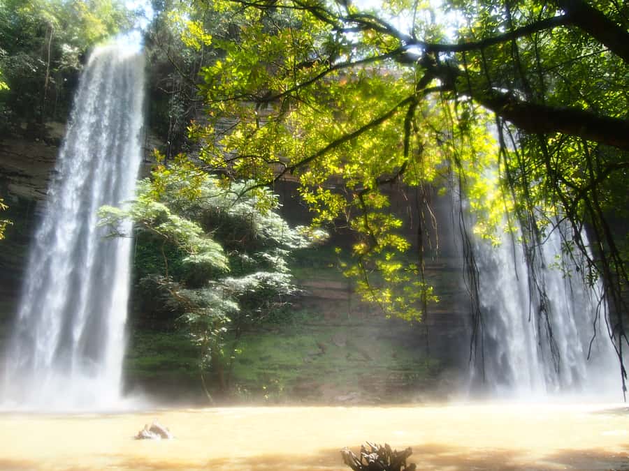 Accra: Eastern Region Waterfalls Tour - Umbrella Rock and the Three-Headed Palm Tree Stop