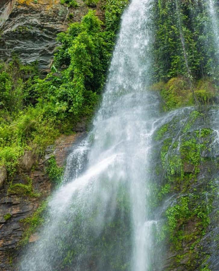 Accra: Tafi Kente Village, Monkey Sanctuary &Wli Waterfalls - Wli Waterfalls in Agumatsa Wildlife Sanctuary: the roar you hear before the mist
