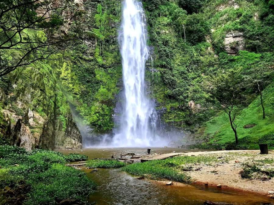 Accra: Tafi Kente Village, Monkey Sanctuary &Wli Waterfalls - Price and logistics: does $259 feel fair for a full day from Accra?