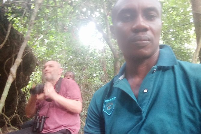 Bird watching tours , cultural and historical tours of Ghana. - Why Accra area birdwatching works in 2 days