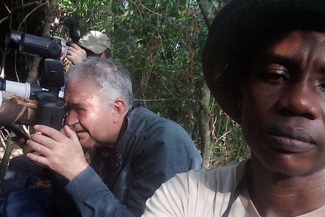 Bird watching tours , cultural and historical tours of Ghana. - The real star: bird-call reading with Kalu Afasi