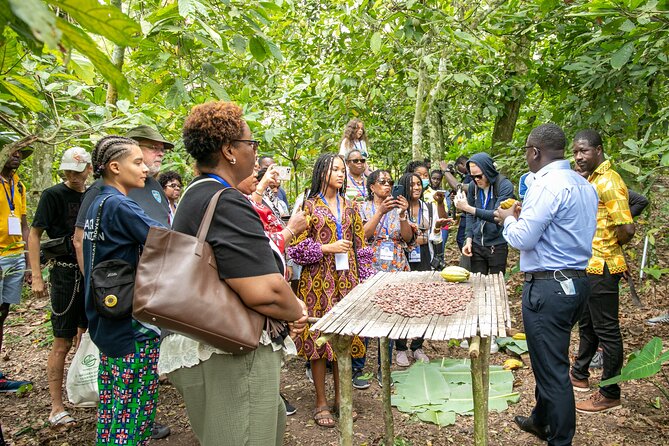 Boti Falls, Botanic Gardens, Cocoa Fam, Umbrella Rock Experience - Boti Falls: the 250 steps, canoe ride, and the swim question