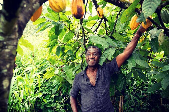 Boti Falls, Botanic Gardens, Cocoa Fam, Umbrella Rock Experience - Aburi Botanical Gardens: birds, butterflies, and a guide-led plant story