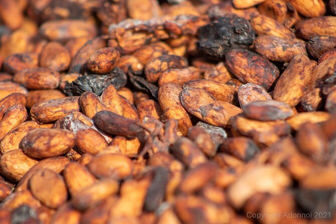 Boti Falls, Umbrella Rock, Aburi Gardens & Cocoa Farm Day Tour - Key highlights worth your attention