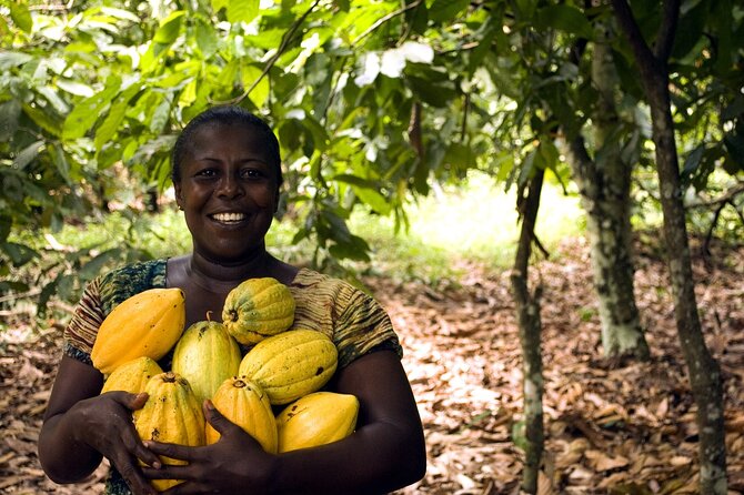 Boti Falls, Umbrella Rock, Aburi Gardens & Cocoa Farm Day Tour - Why Boti Falls and Umbrella Rock work as a start