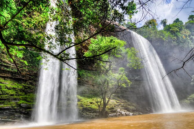 Boti Falls, Umbrella Rock, Aburi Gardens & Cocoa Farm Day Tour - Tetteh Quarshie Cocoa Farm: from beans to a before-chocolate taste