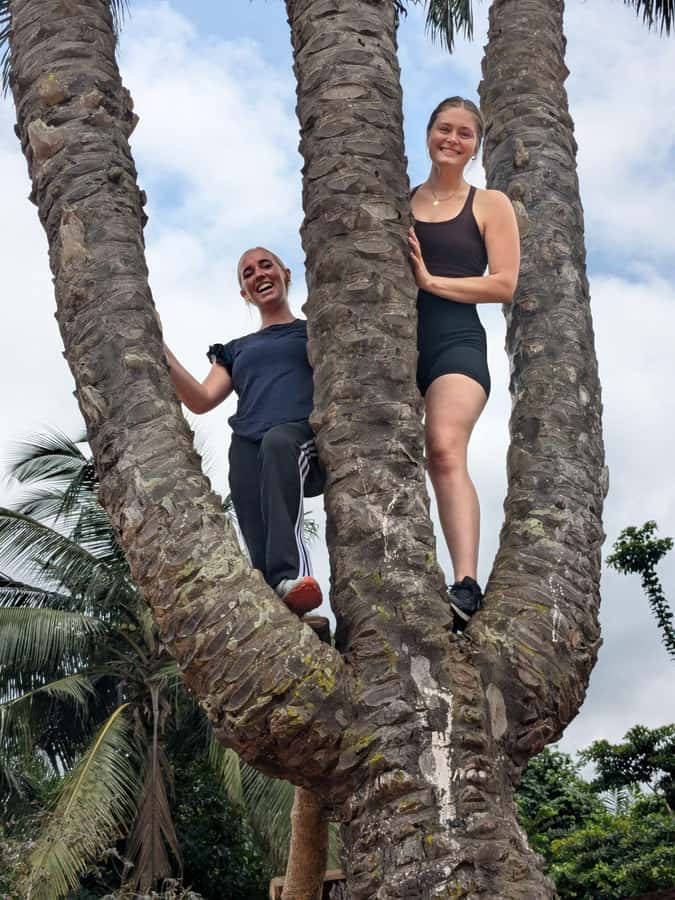 Boti Falls, Umbrella Rock, Aburi Gardens & Cocoa Farm Tour - Key highlights worth planning for