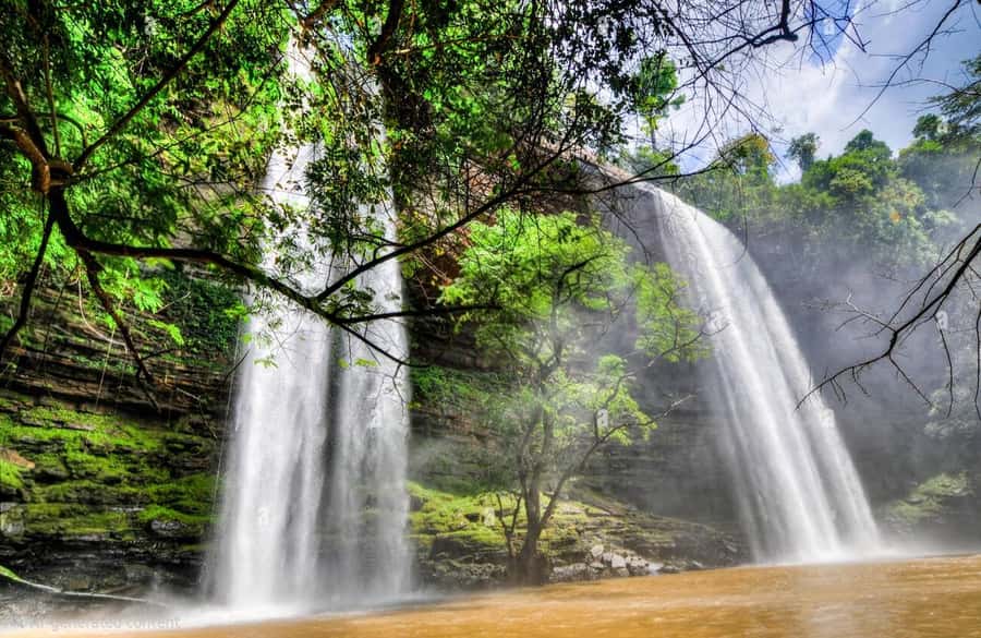 Boti Falls, Umbrella Rock, Aburi Gardens & Cocoa Farm Tour - A 7-hour nature and cocoa loop from Accra