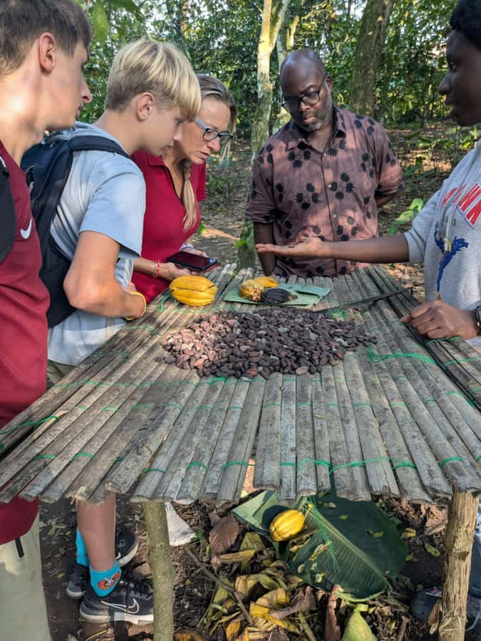Boti Falls, Umbrella Rock, Aburi Gardens & Cocoa Farm Tour - Should you book this Boti Falls, Umbrella Rock, Aburi Gardens, and cocoa farm day trip?