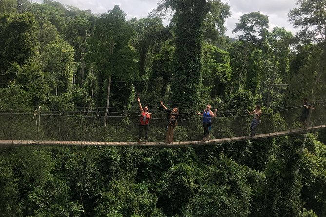 Cape Coast/Elmina Slave Dungeon and Canopy Walkway Private Tour - Price and logistics: what $200 gets you in a 10 to 12 hour day