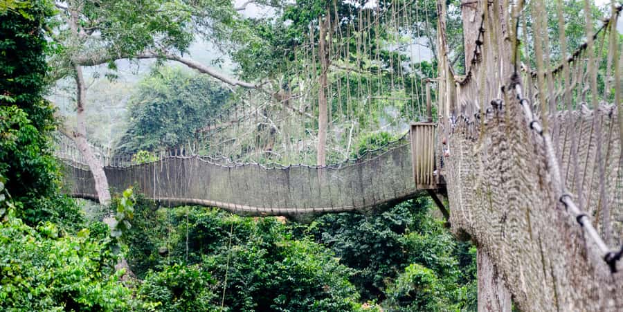 Cape Coast: Kakum National Park, Castles, & Hans Cottage - Key Highlights You’ll Care About