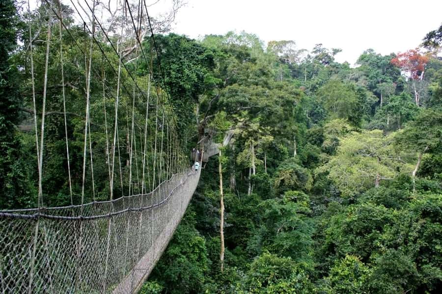 Cape Coast: Kakum National Park, Castles, & Hans Cottage - Kakum and Cape Coast in One Long, Meaningful Day