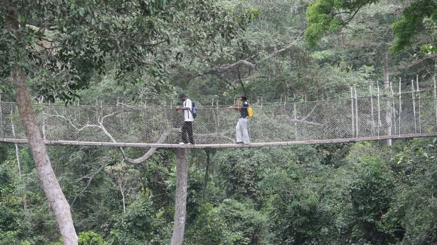 Cape Coast: Kakum National Park, Castles, & Hans Cottage - From Accra Mall Pickup to Kakum National Park Timing
