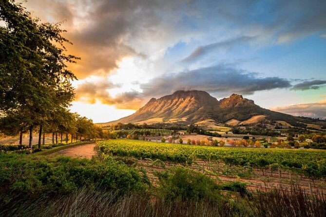 Cultural Tour Of Ghana And South Africa 12 Days - Robben Island and township tours in Cape Town, plus breathing room