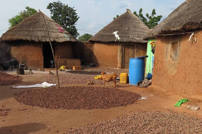 Cultural Village Tour: Traditional Naming Ceremony - Quick hits before you go