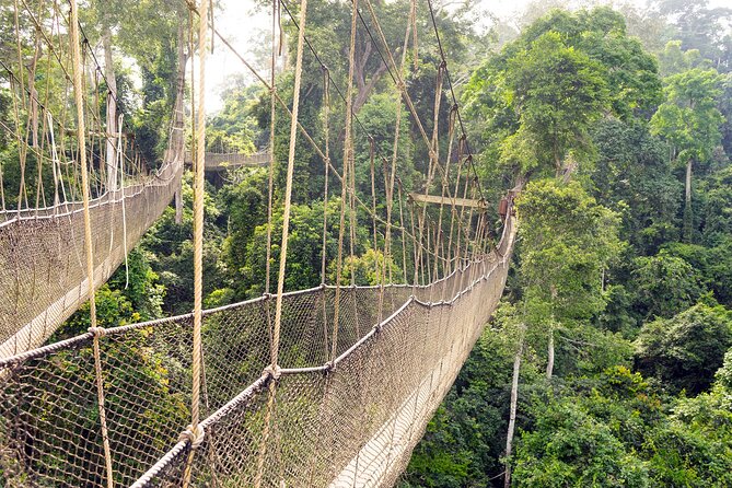 Day Tour to Kakum National Park, Cape Coast and Elmina Castles - Getting from Accra to the coast: Denkyira Kingdom to Kakum
