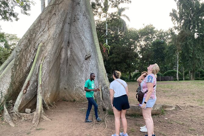 Day Trip Near Accra - Visit Aburi Gardens, Waterfall & Cocoa Farm - Key highlights worth your time
