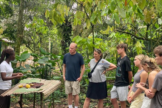 Day Trip Near Accra - Visit Aburi Gardens, Waterfall & Cocoa Farm - Reset Your Day in Aburi, Just Outside Accra