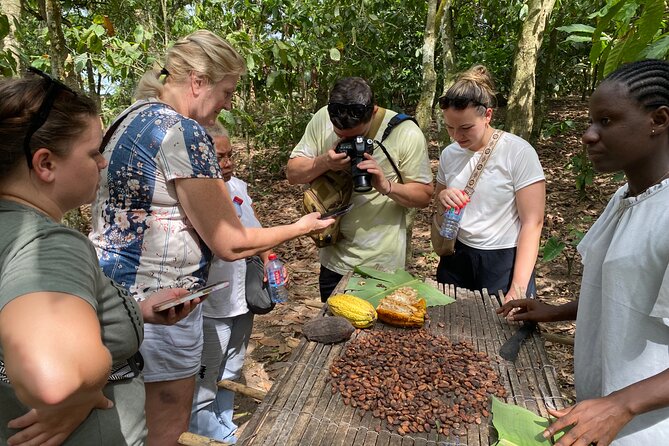 Day Trip Near Accra - Visit Aburi Gardens, Waterfall & Cocoa Farm - Aburi Botanical Gardens: Trees, Orchids, and Conservation Talk