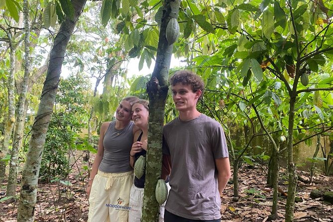 Day Trip Near Accra - Visit Aburi Gardens, Waterfall & Cocoa Farm - Oboadaka Falls: Pine Smell, Songbirds, and a Slow Descent