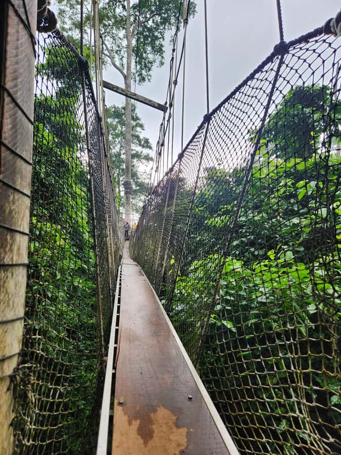 Discover Cape Coast and Elmina Castle with Kakum - How the Accra to Cape Coast day tour is paced