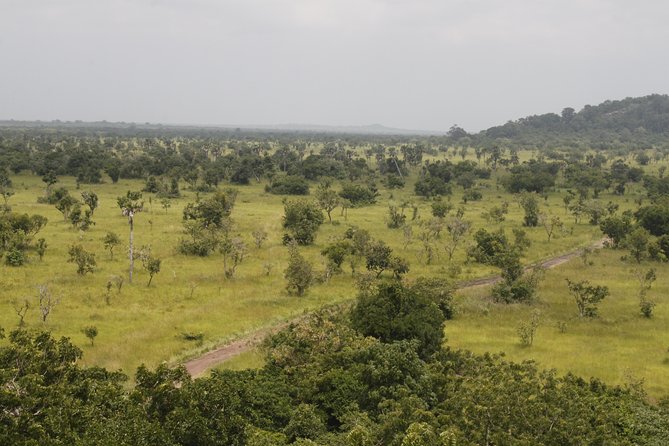 Discover Nature at Shai Hills - Getting around in an air-conditioned vehicle, with privacy that matters